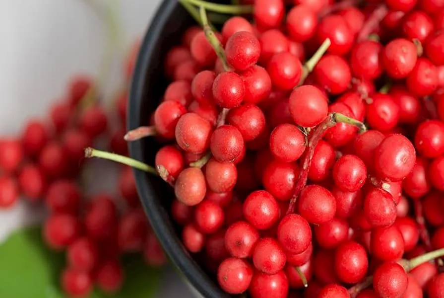 Beneficios de la Schizandra Sinensis
