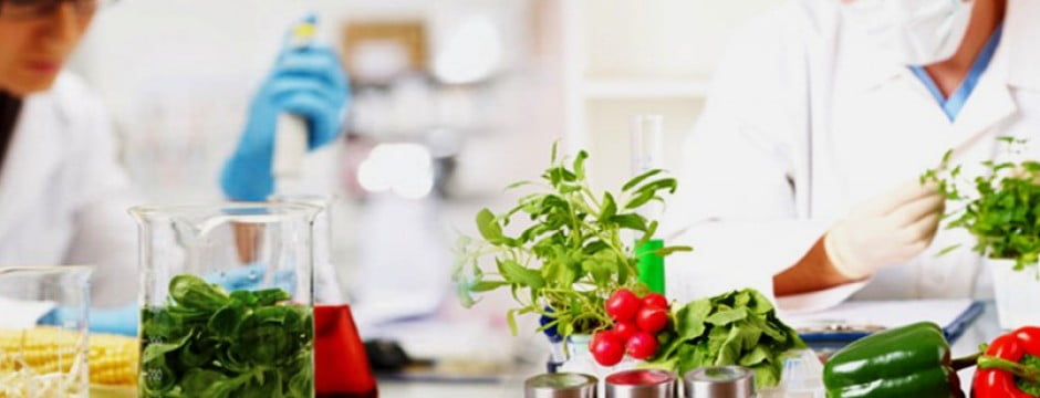 test de indices biologicos