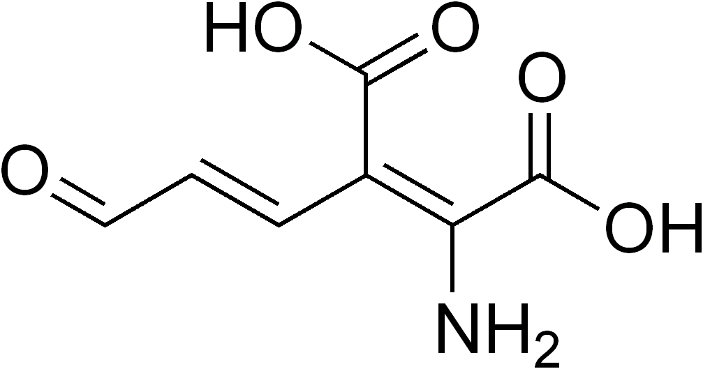 L-glutamina