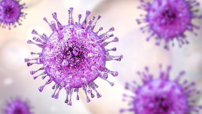 Que-son-los-virus