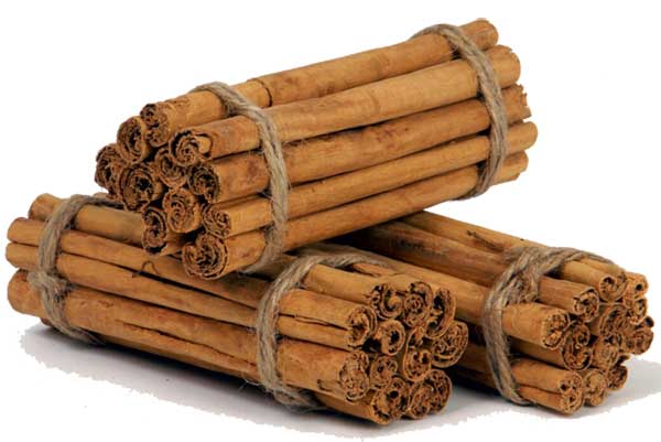 Qué es la canela