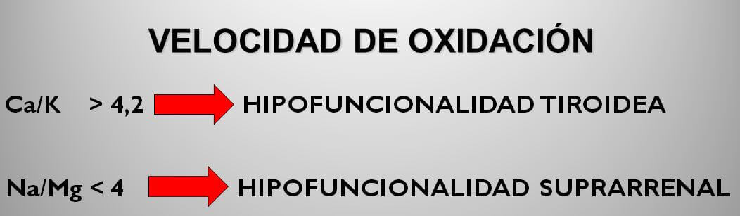 prueba-mineralograma-barcelona